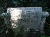 image number 6